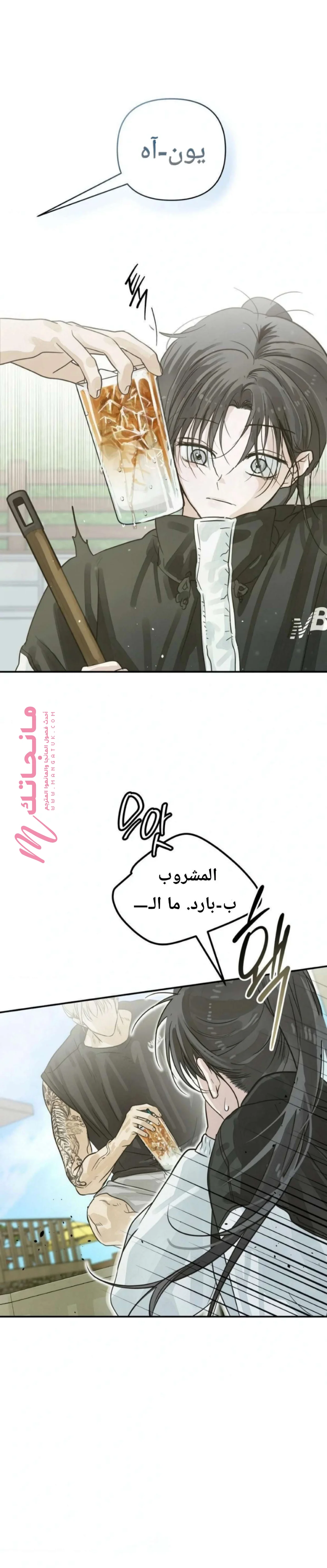 الصفحة 13