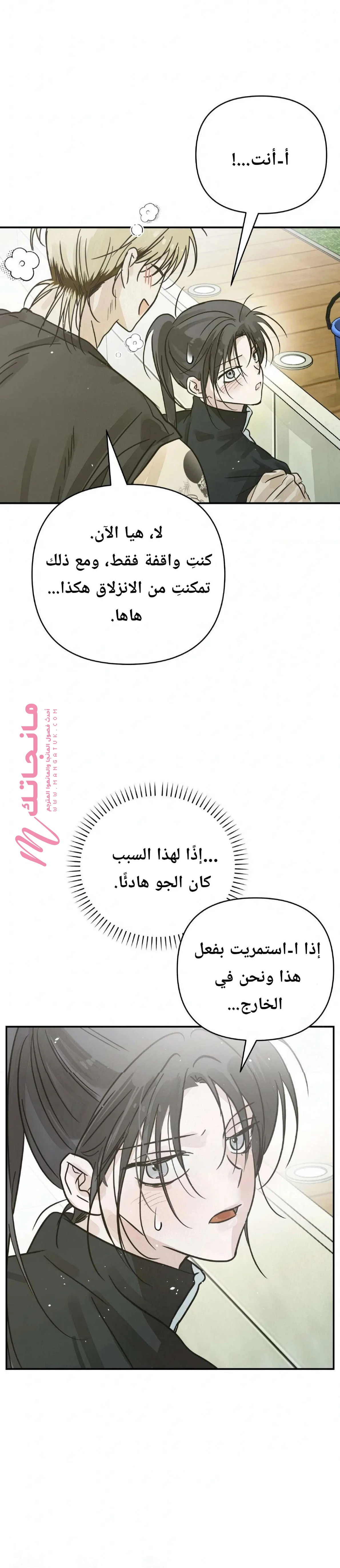 الصفحة 25