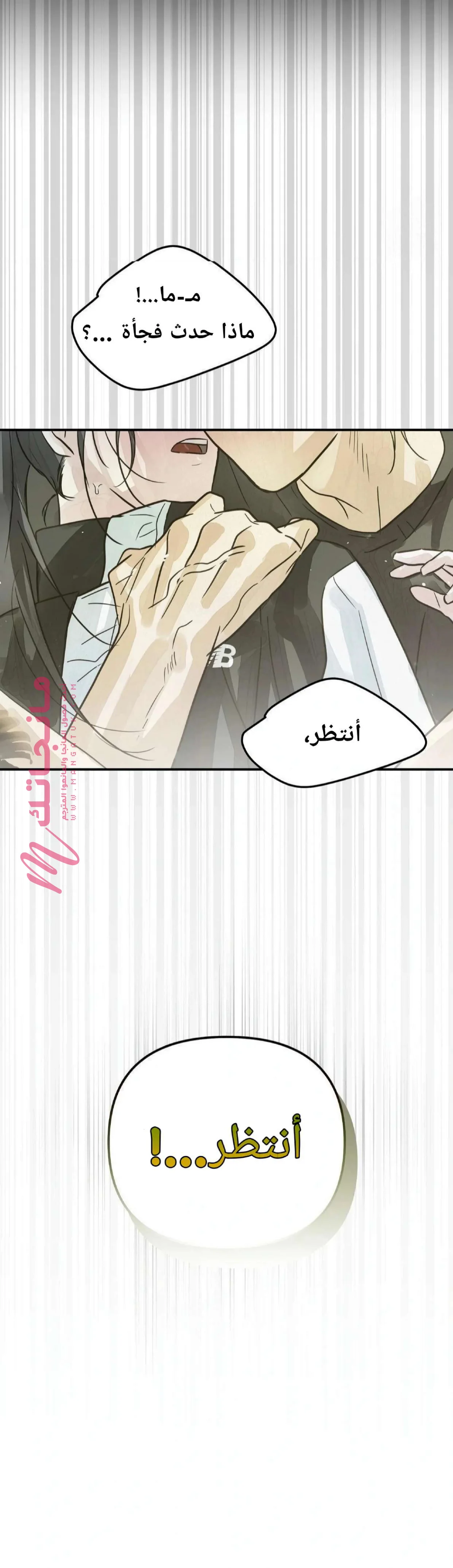 الصفحة 37