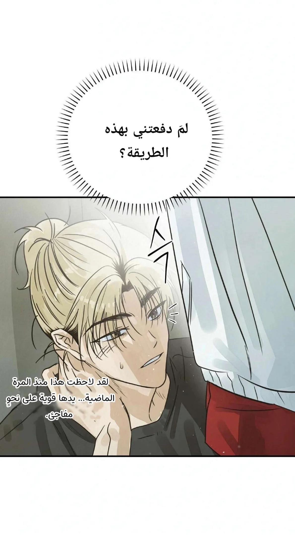 الصفحة 42