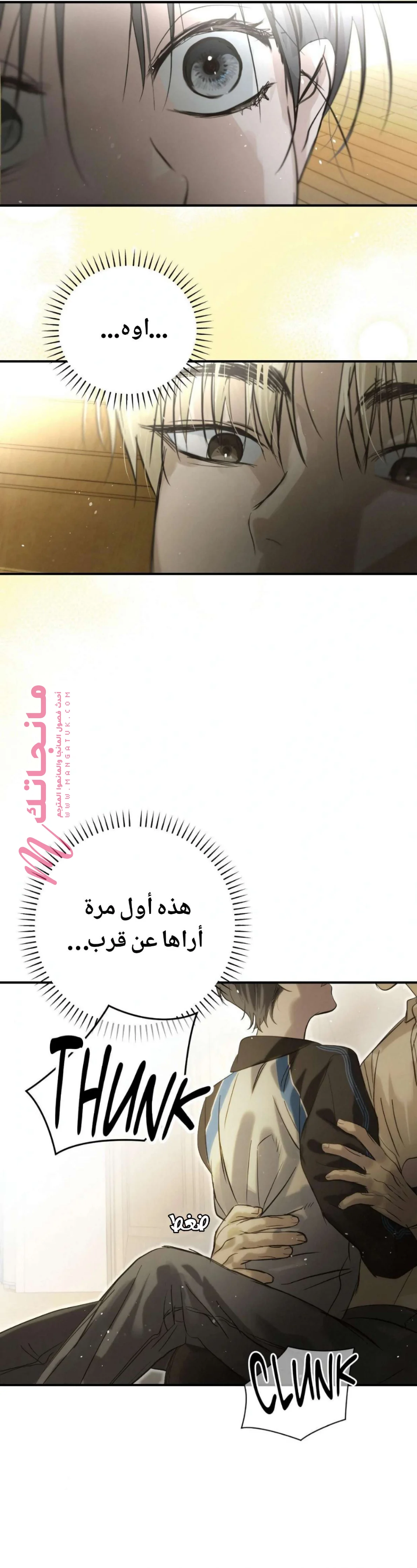 الصفحة 31