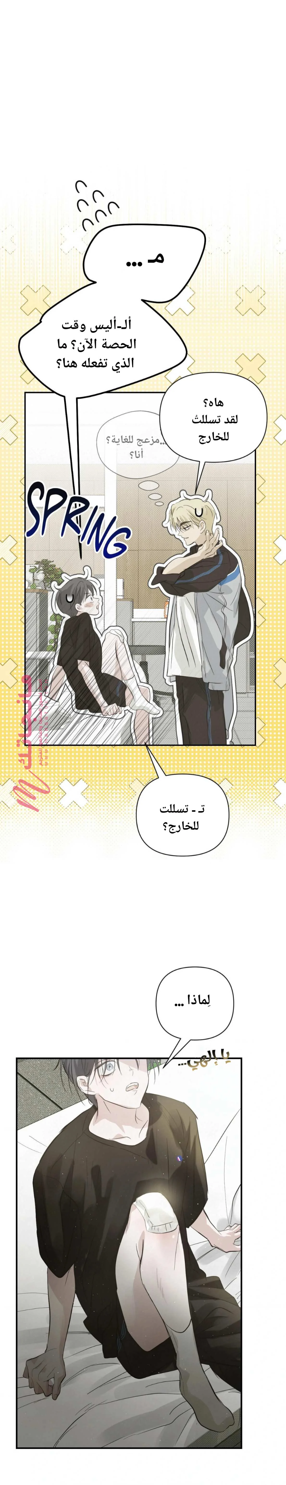 الصفحة 17