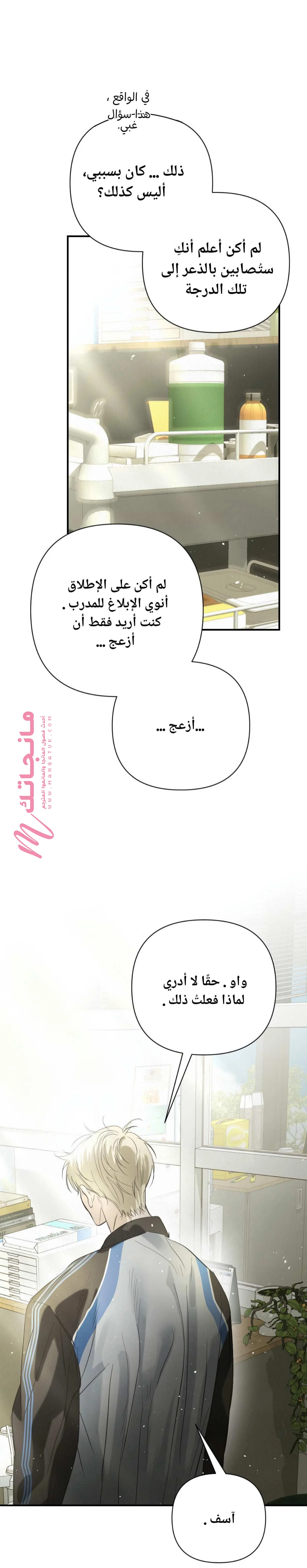 الصفحة 19
