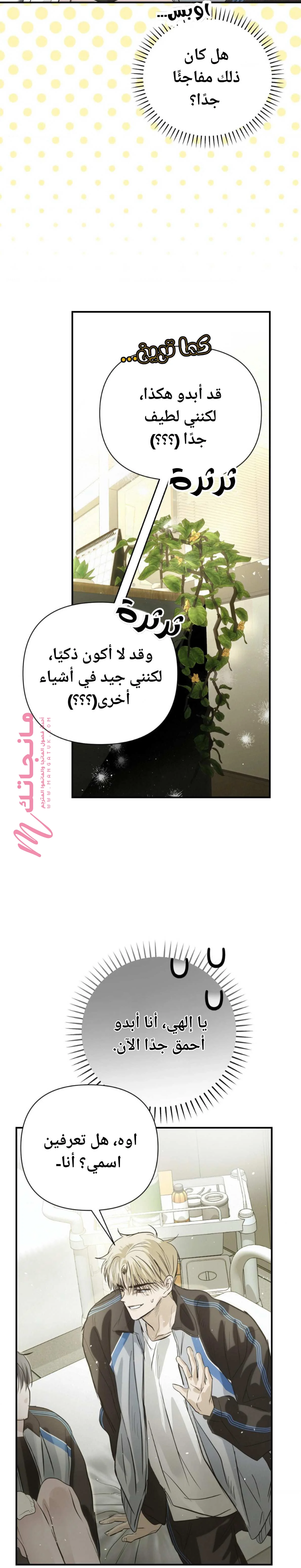 الصفحة 28