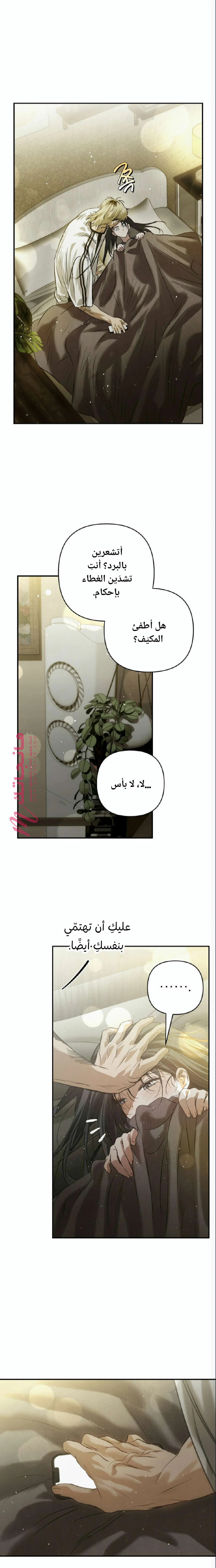 الصفحة 4