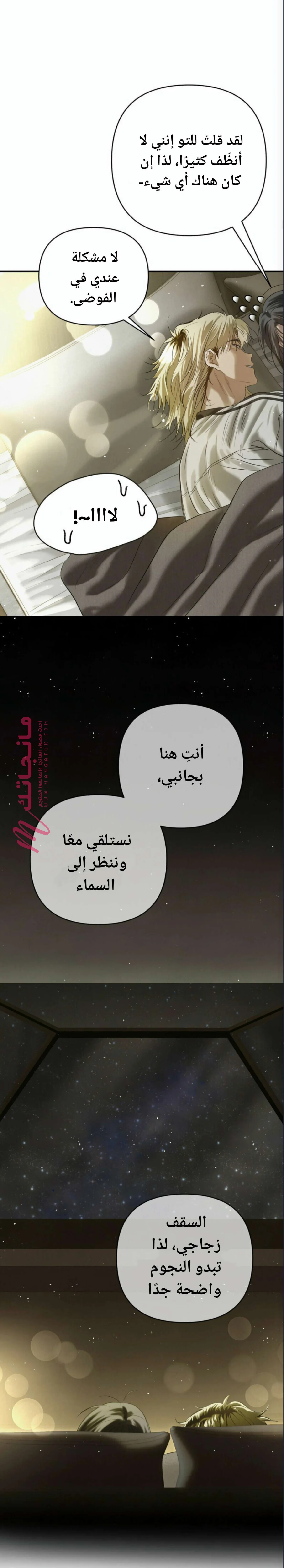 الصفحة 12