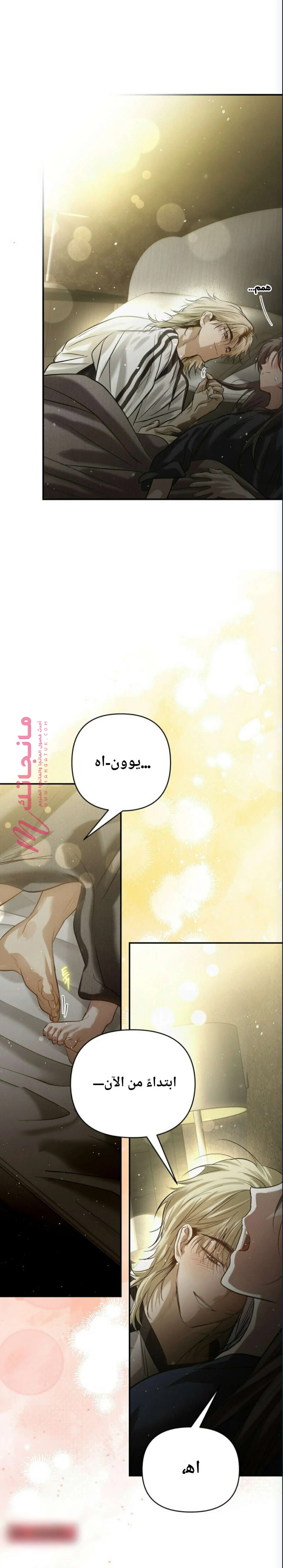 الصفحة 14
