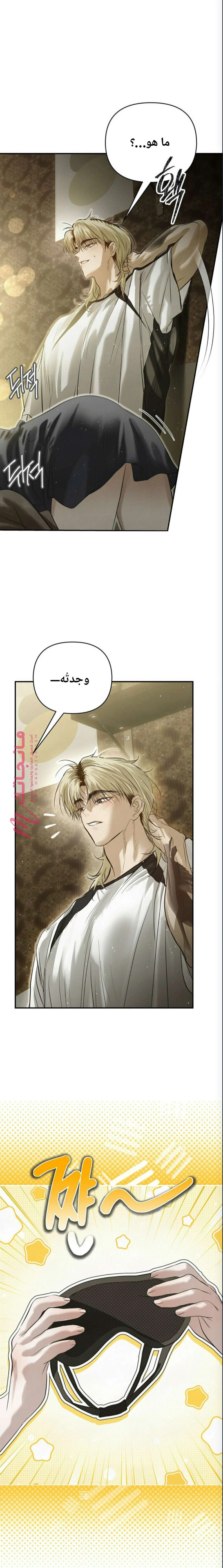 الصفحة 16