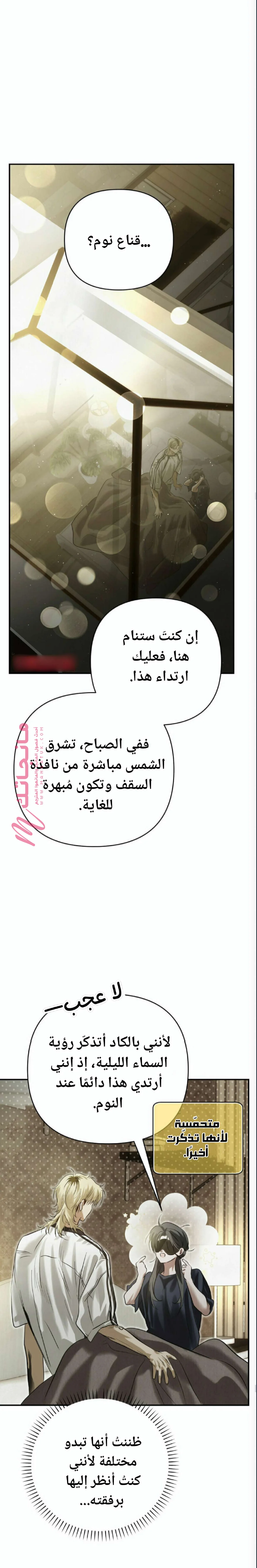 الصفحة 17