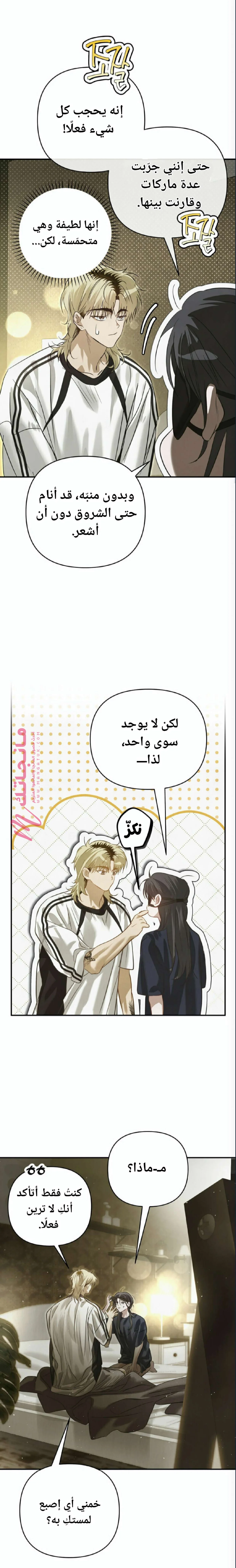 الصفحة 18