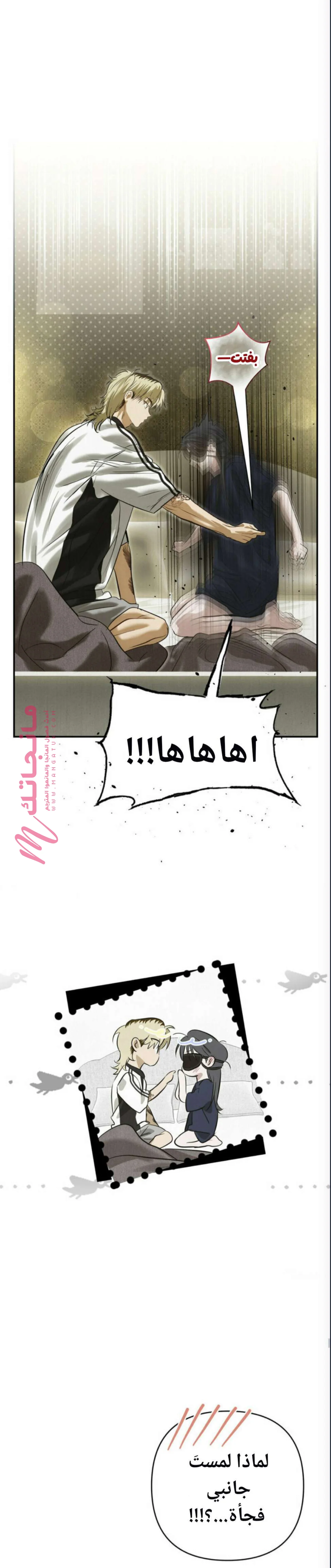 الصفحة 20