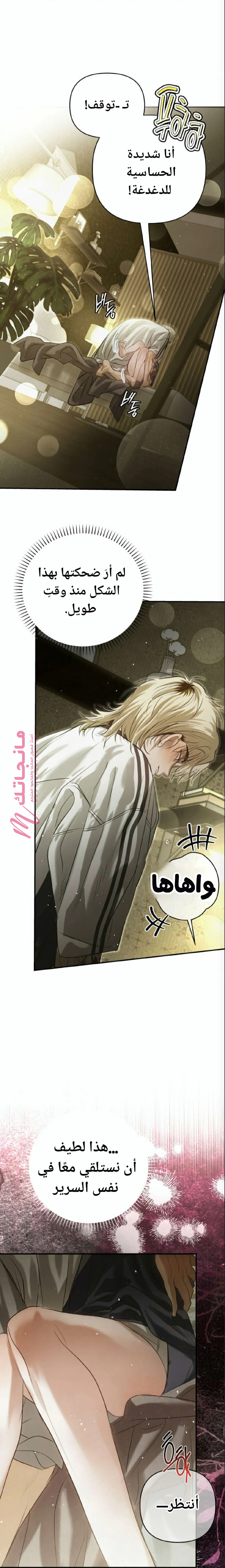 الصفحة 22