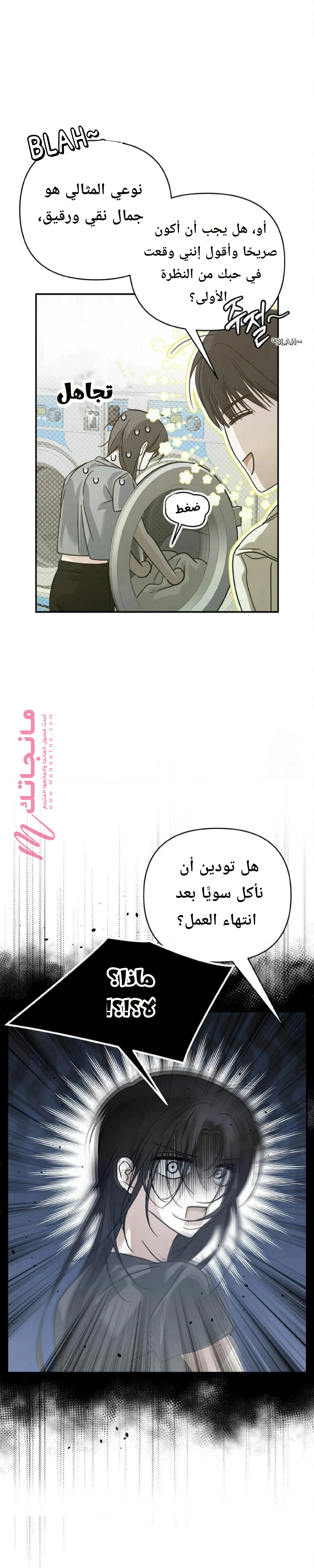 الصفحة 17