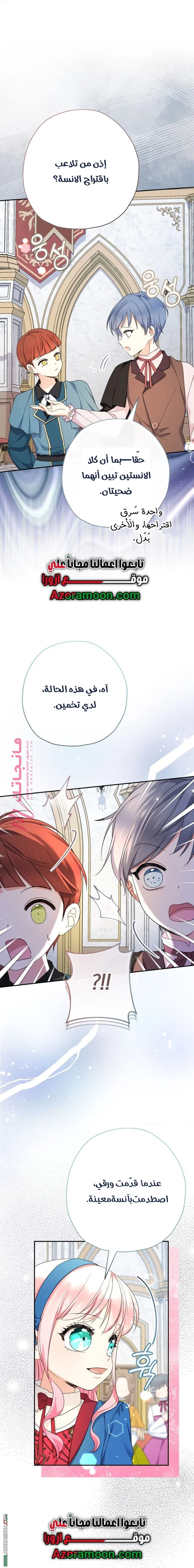 الصفحة 17
