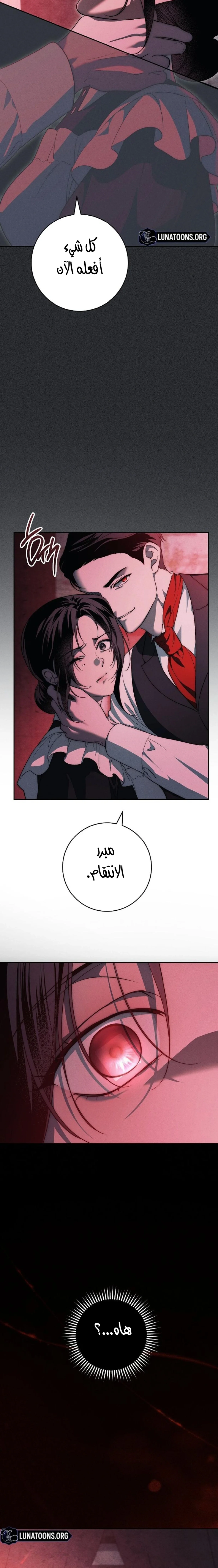 الصفحة 20