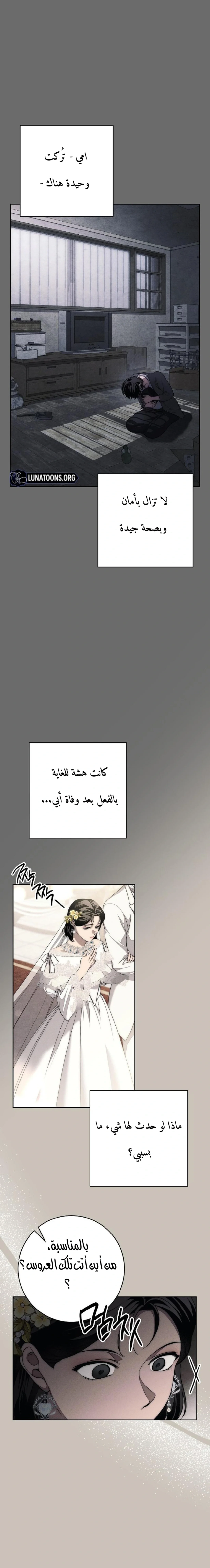 الصفحة 14