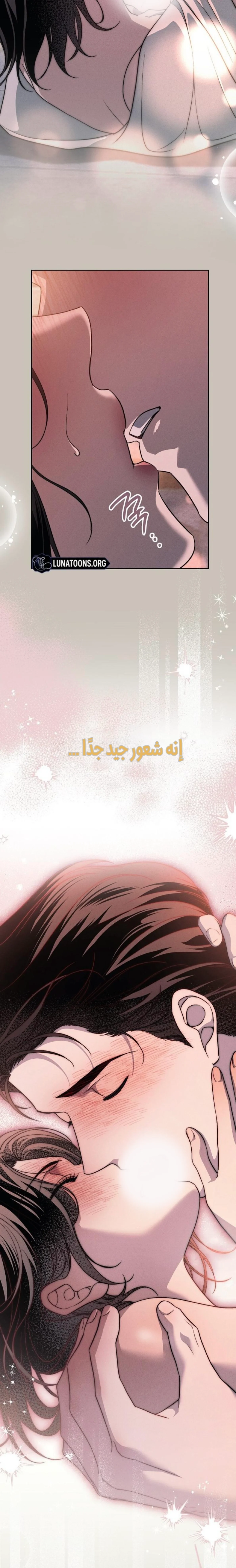 الصفحة 15