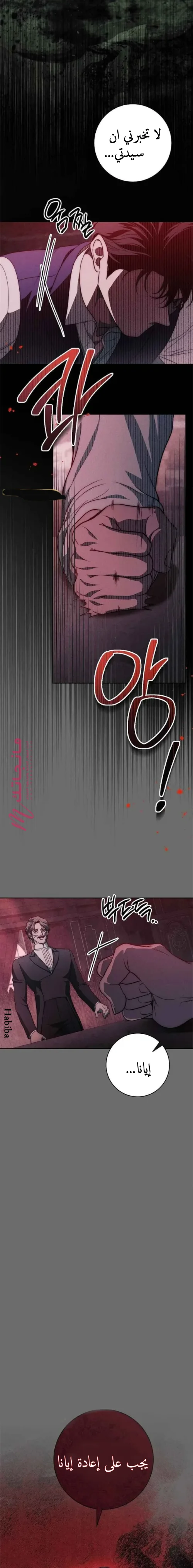 الصفحة 19