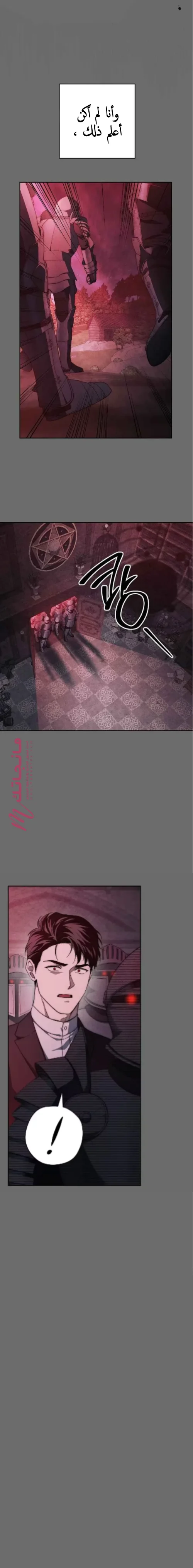 الصفحة 21