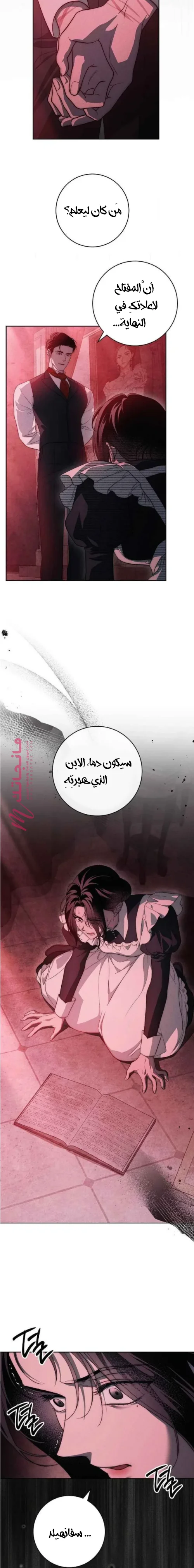 الصفحة 15