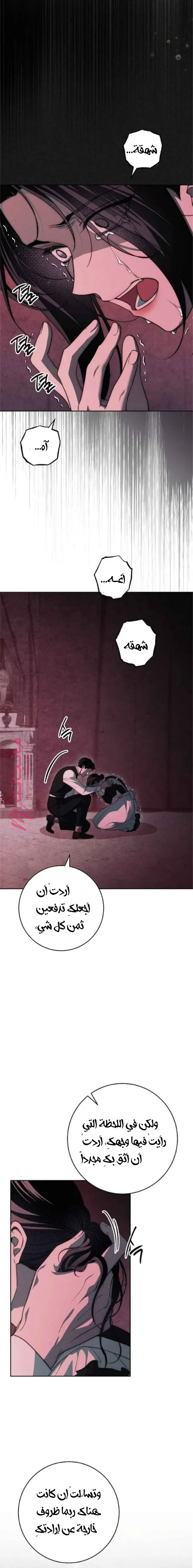 الصفحة 17