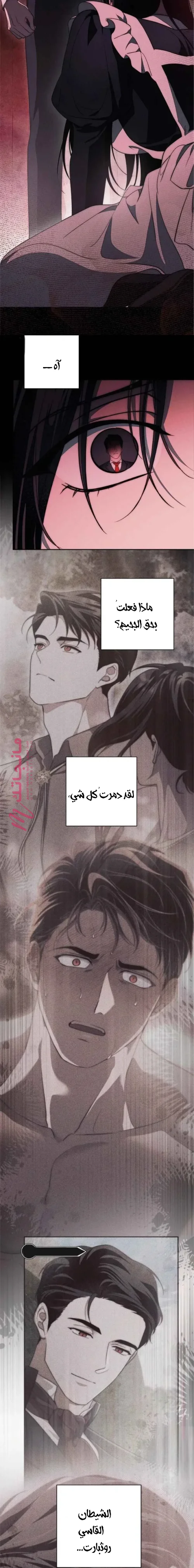 الصفحة 24