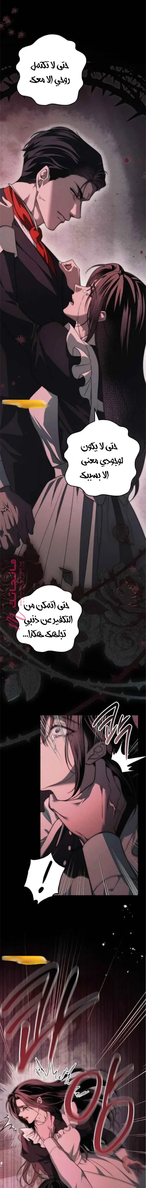 الصفحة 28