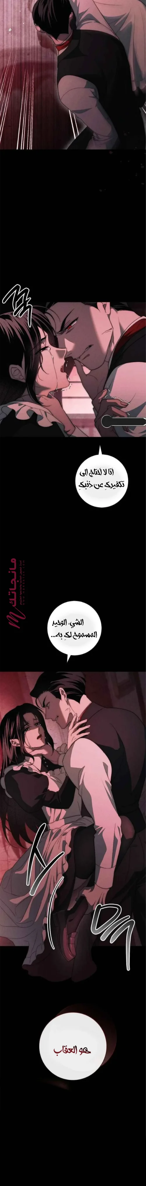 الصفحة 29