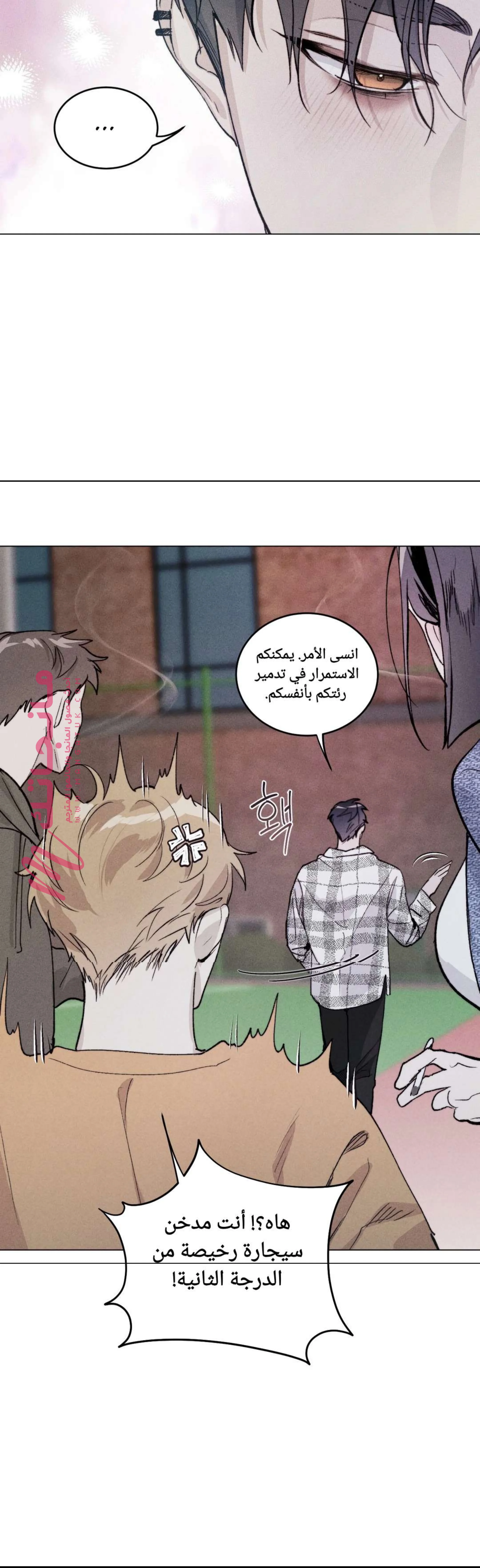 الصفحة 11