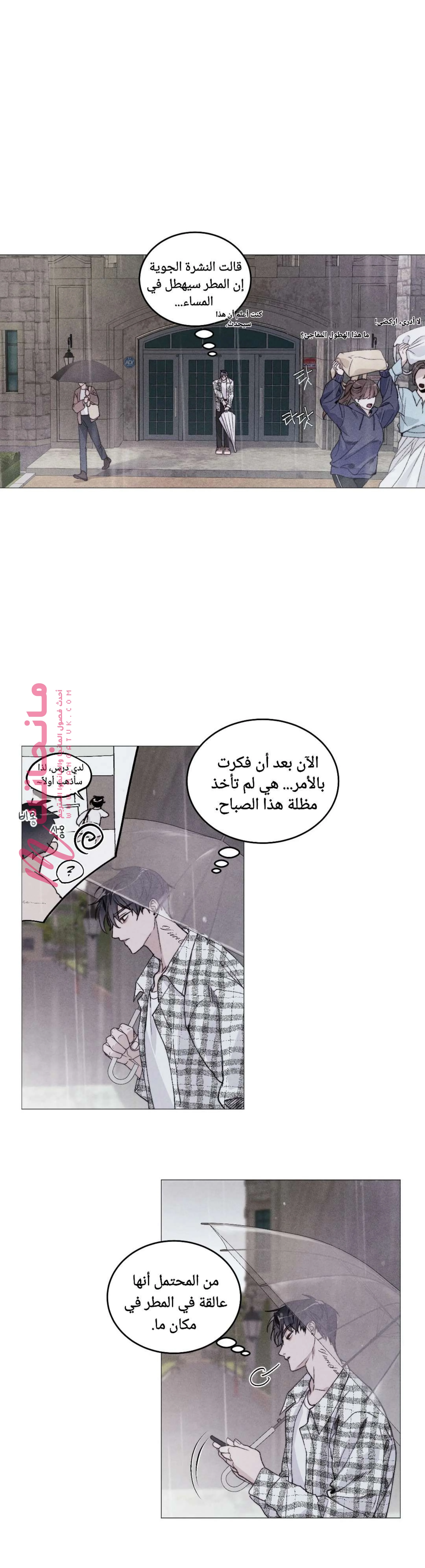 الصفحة 13