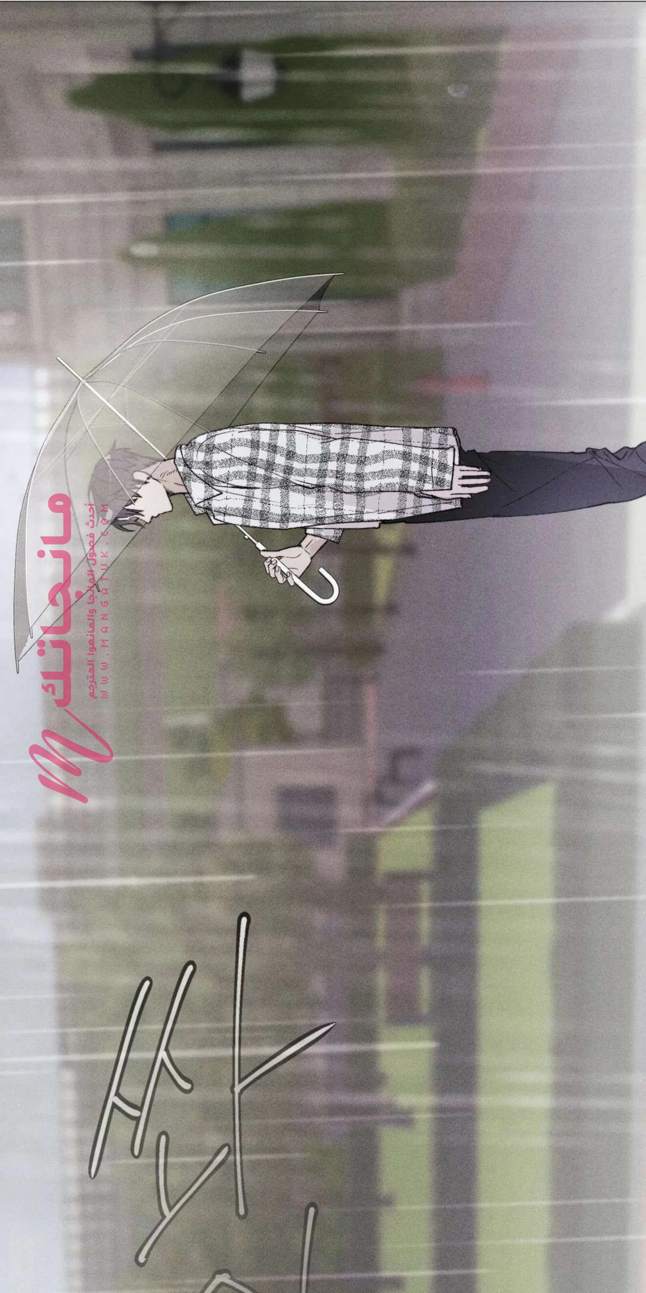 الصفحة 17