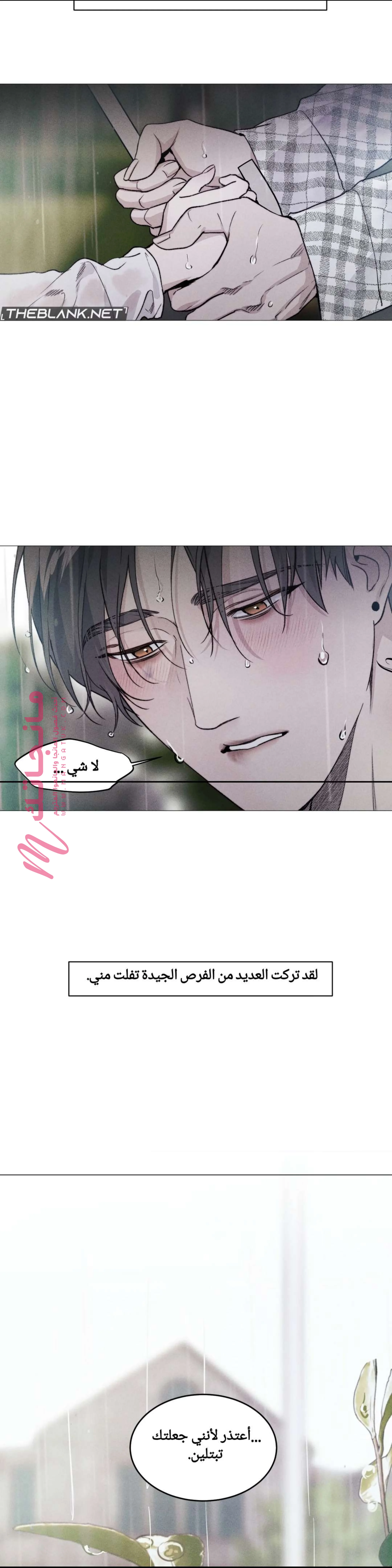 الصفحة 25