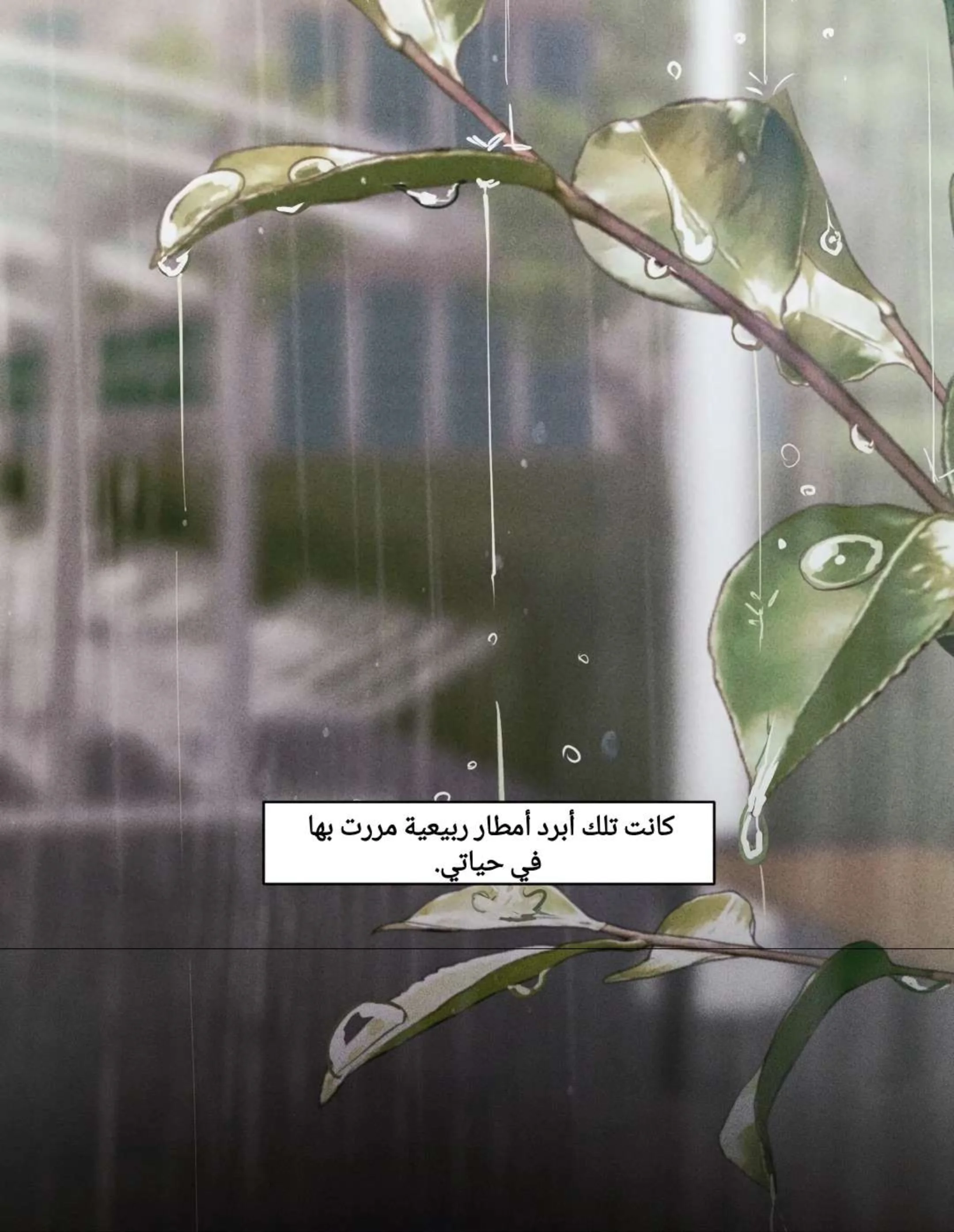 الصفحة 26