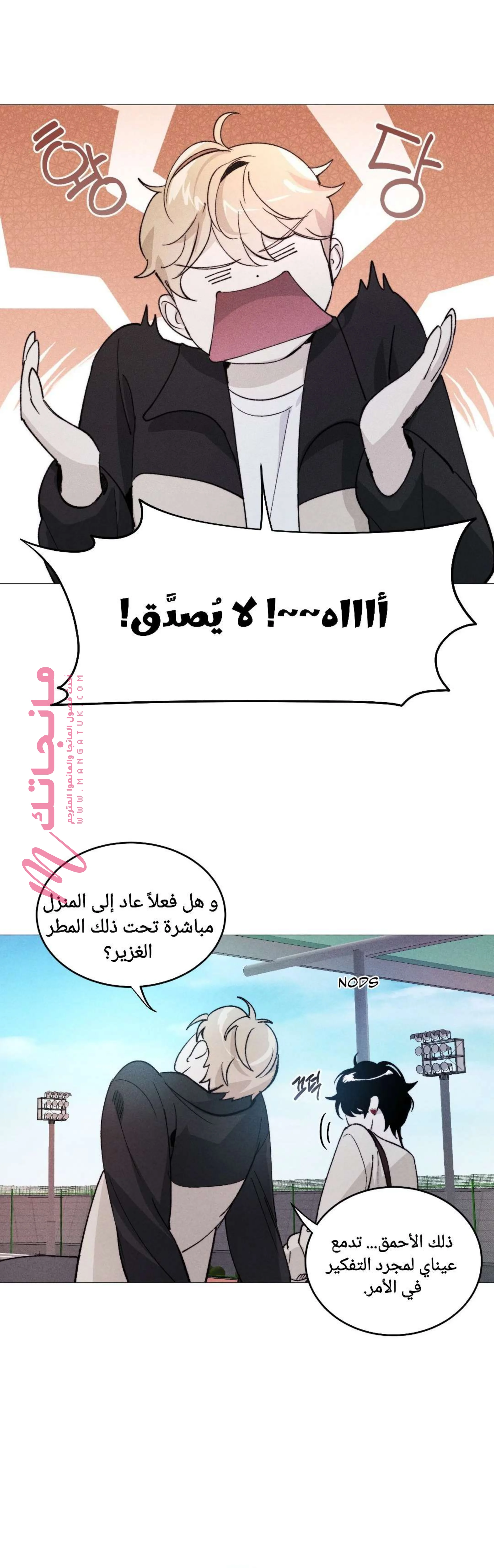 الصفحة 17