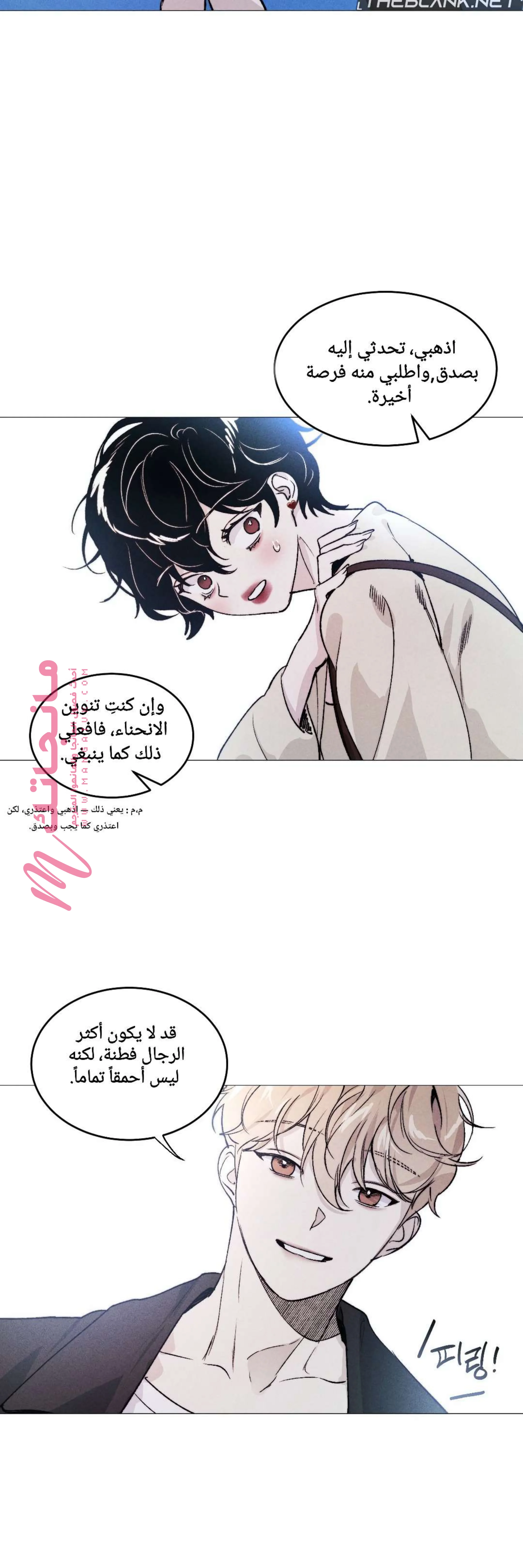 الصفحة 25