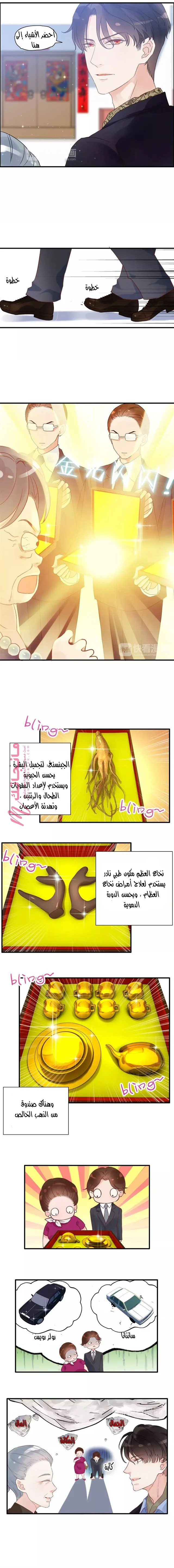 الصفحة 4
