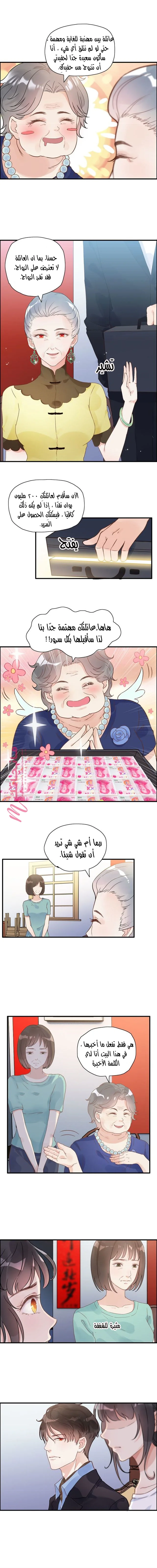 الصفحة 3
