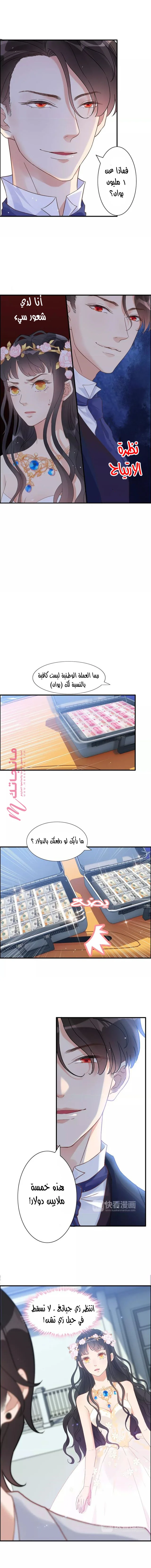 الصفحة 5