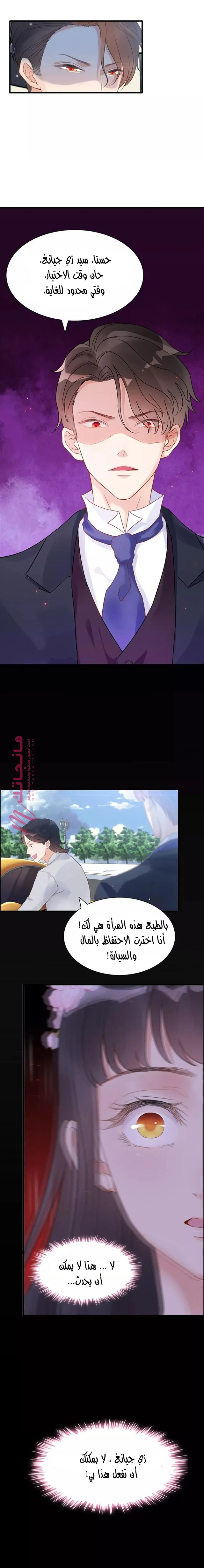 الصفحة 3