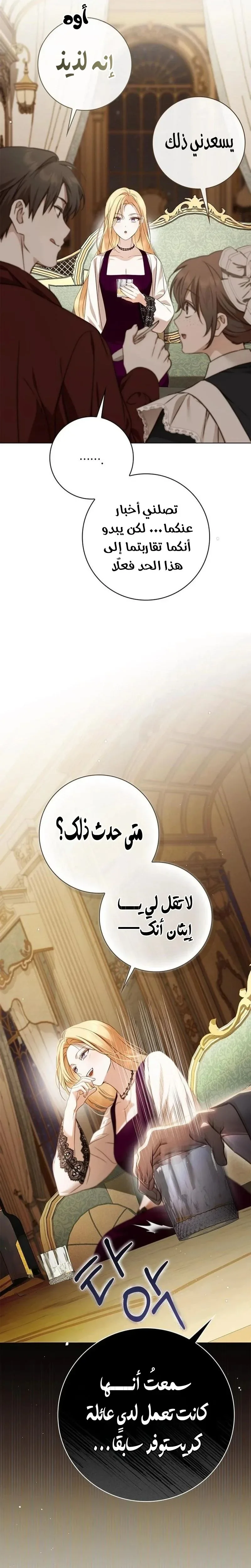 الصفحة 25