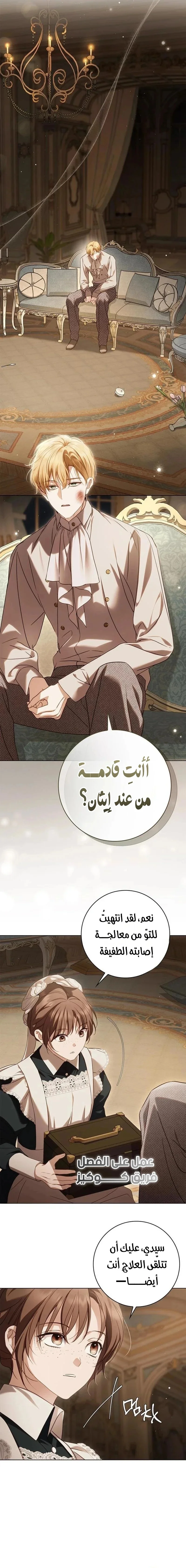 الصفحة 17