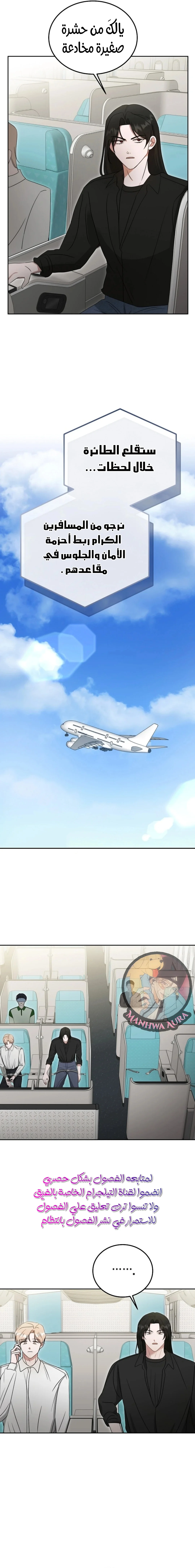 الصفحة 17