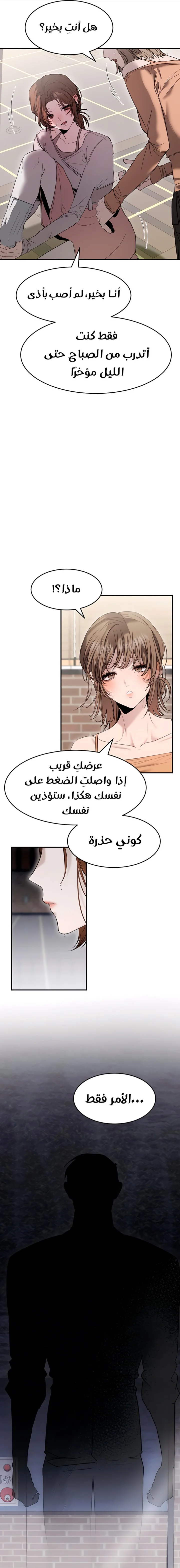 الصفحة 17