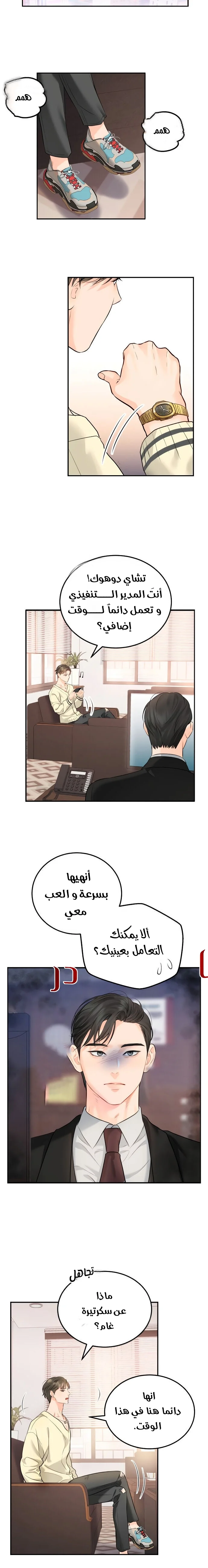 الصفحة 12