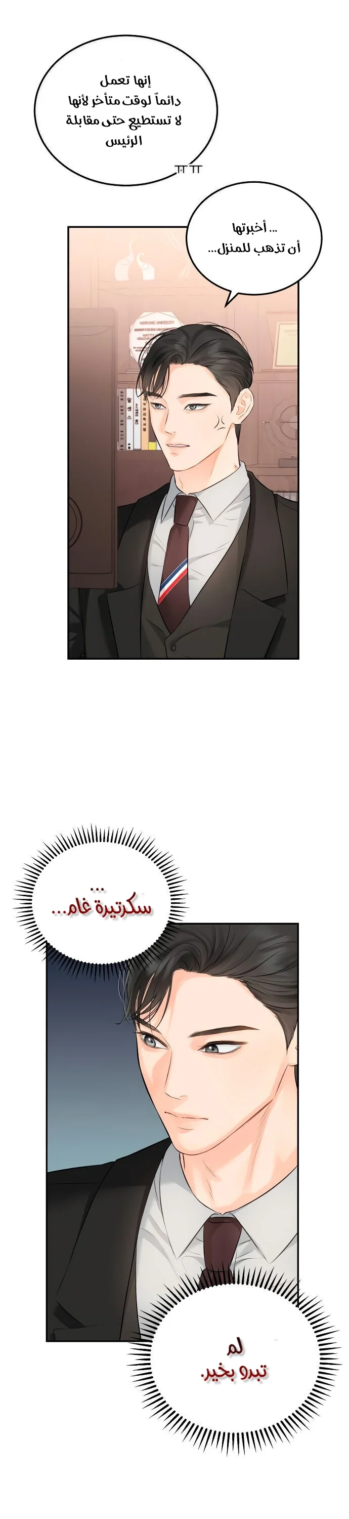 الصفحة 13