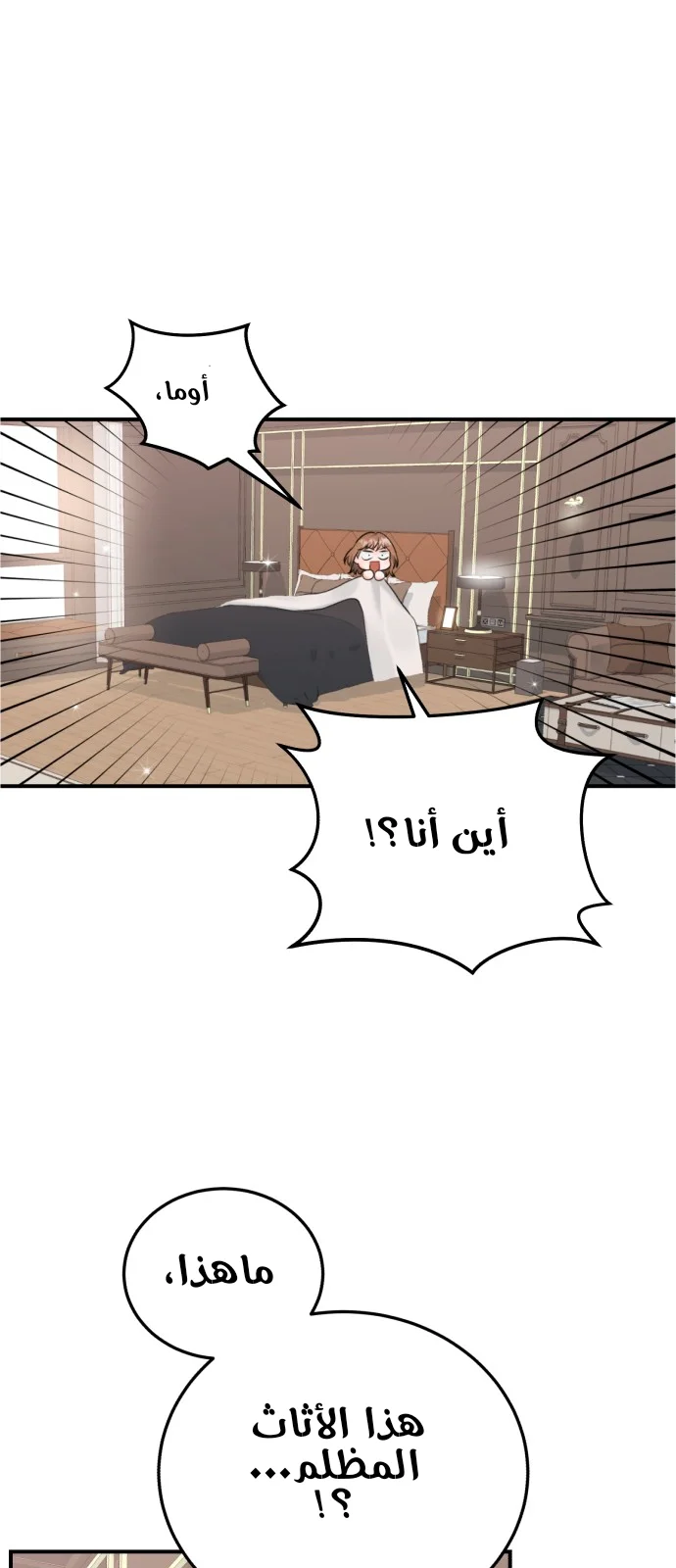 الصفحة 17