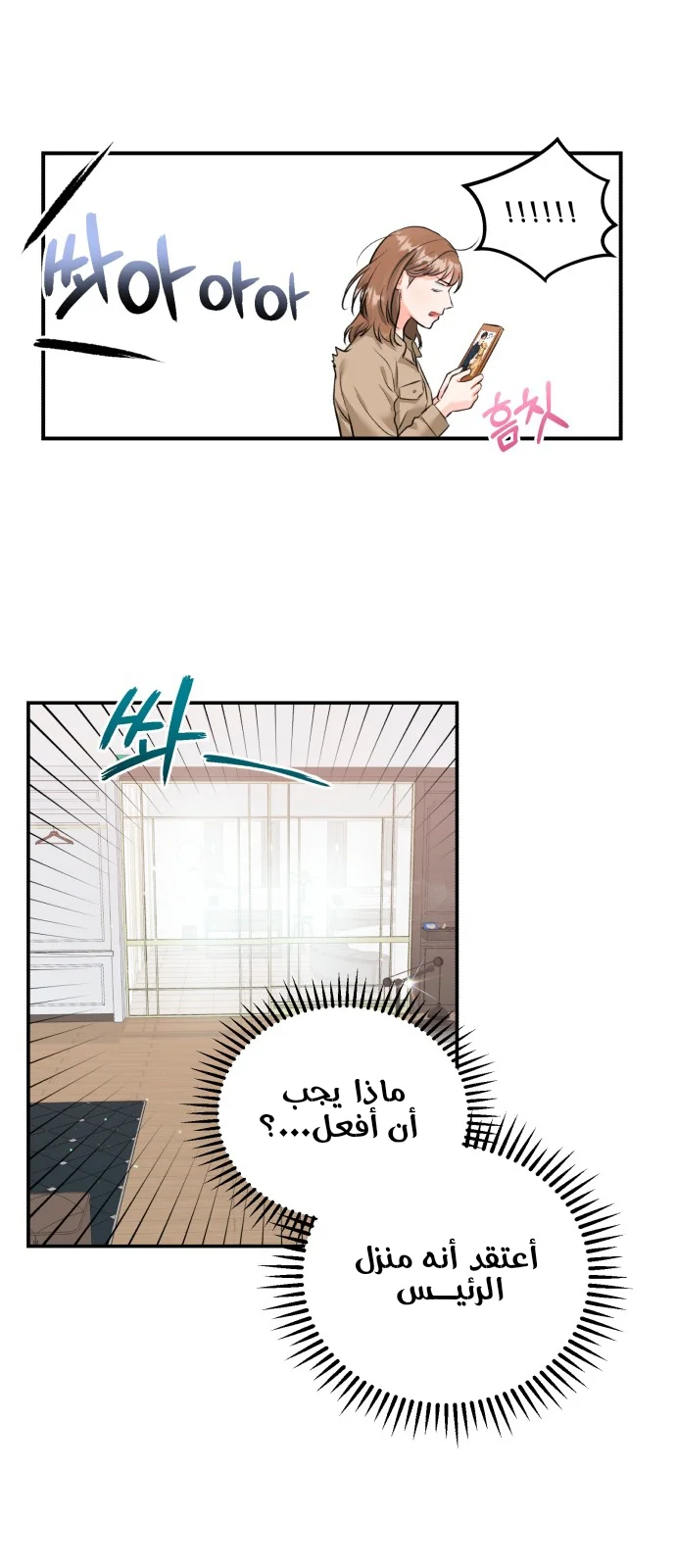 الصفحة 21