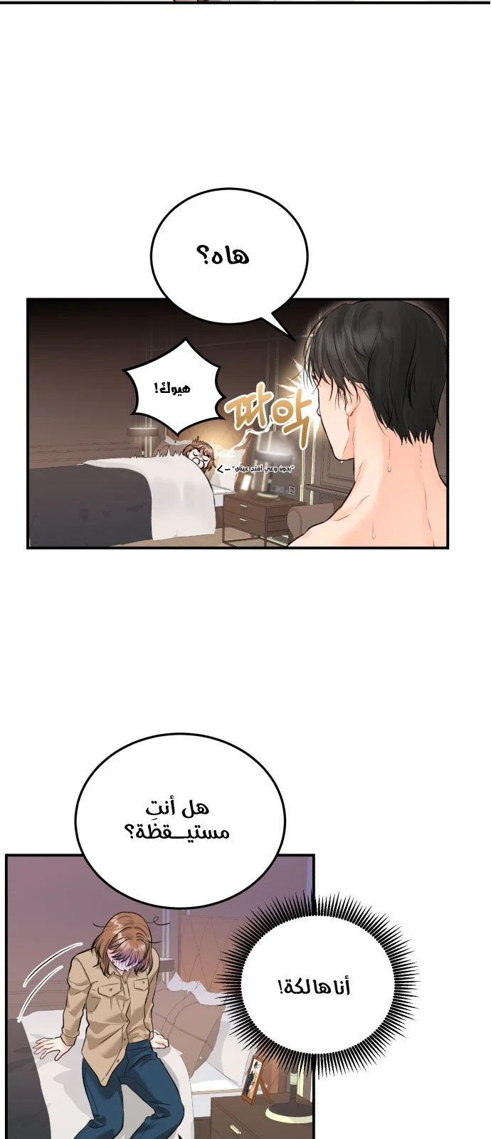 الصفحة 27