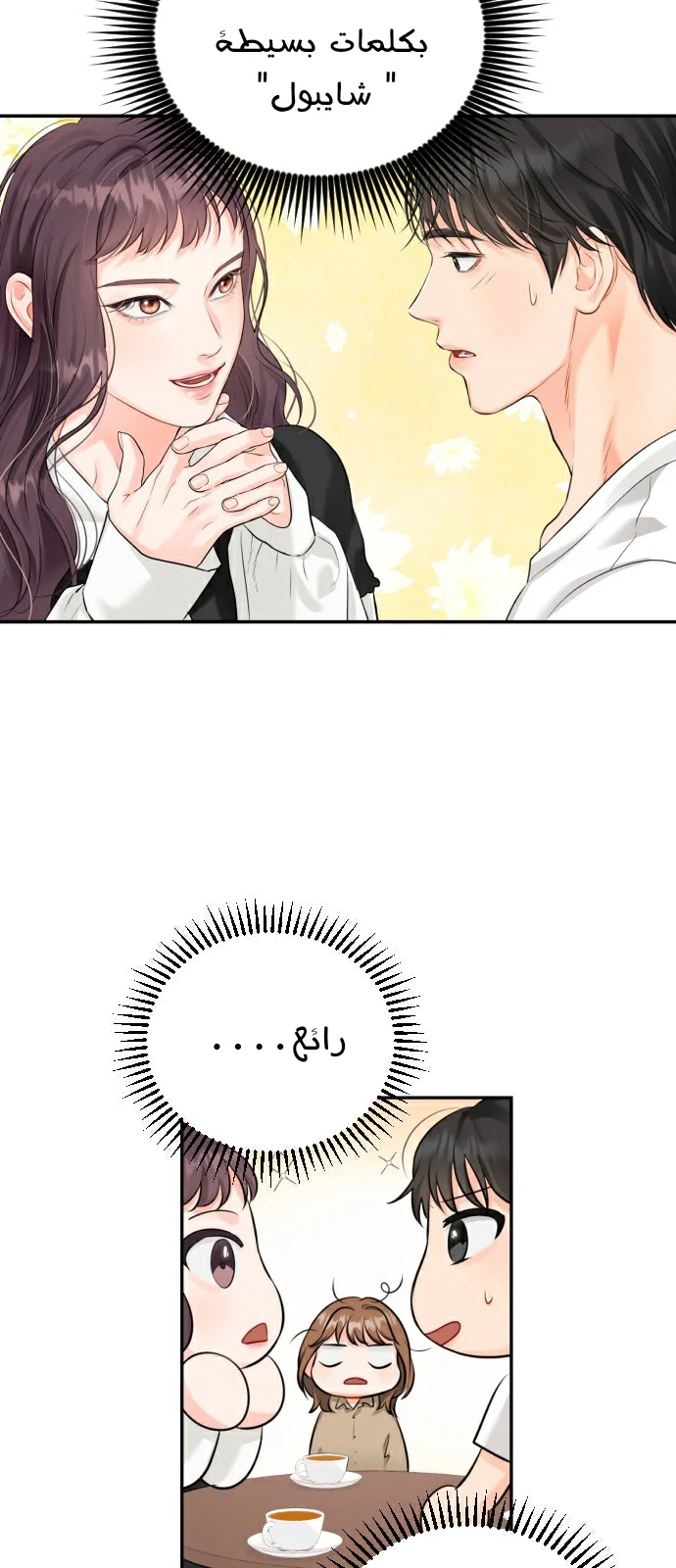الصفحة 14