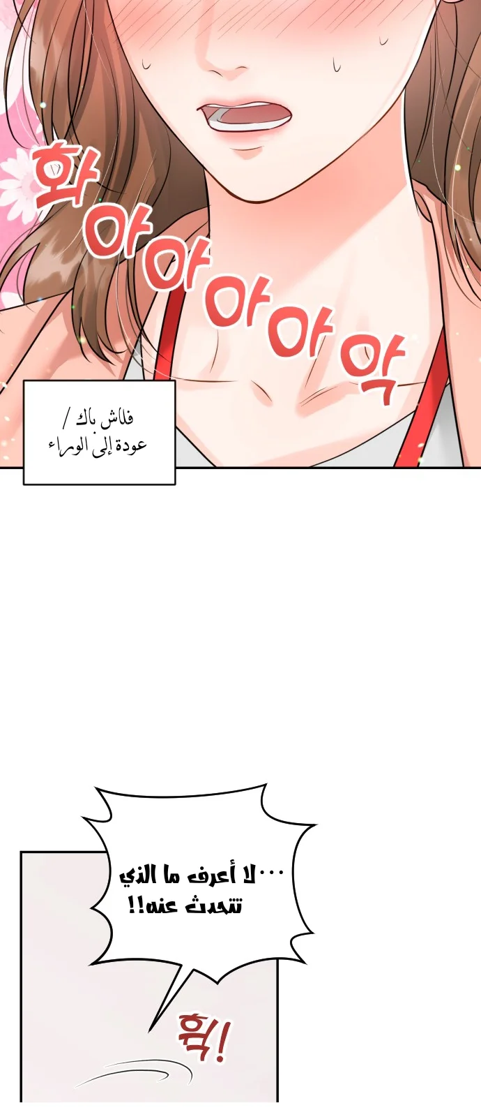 الصفحة 25